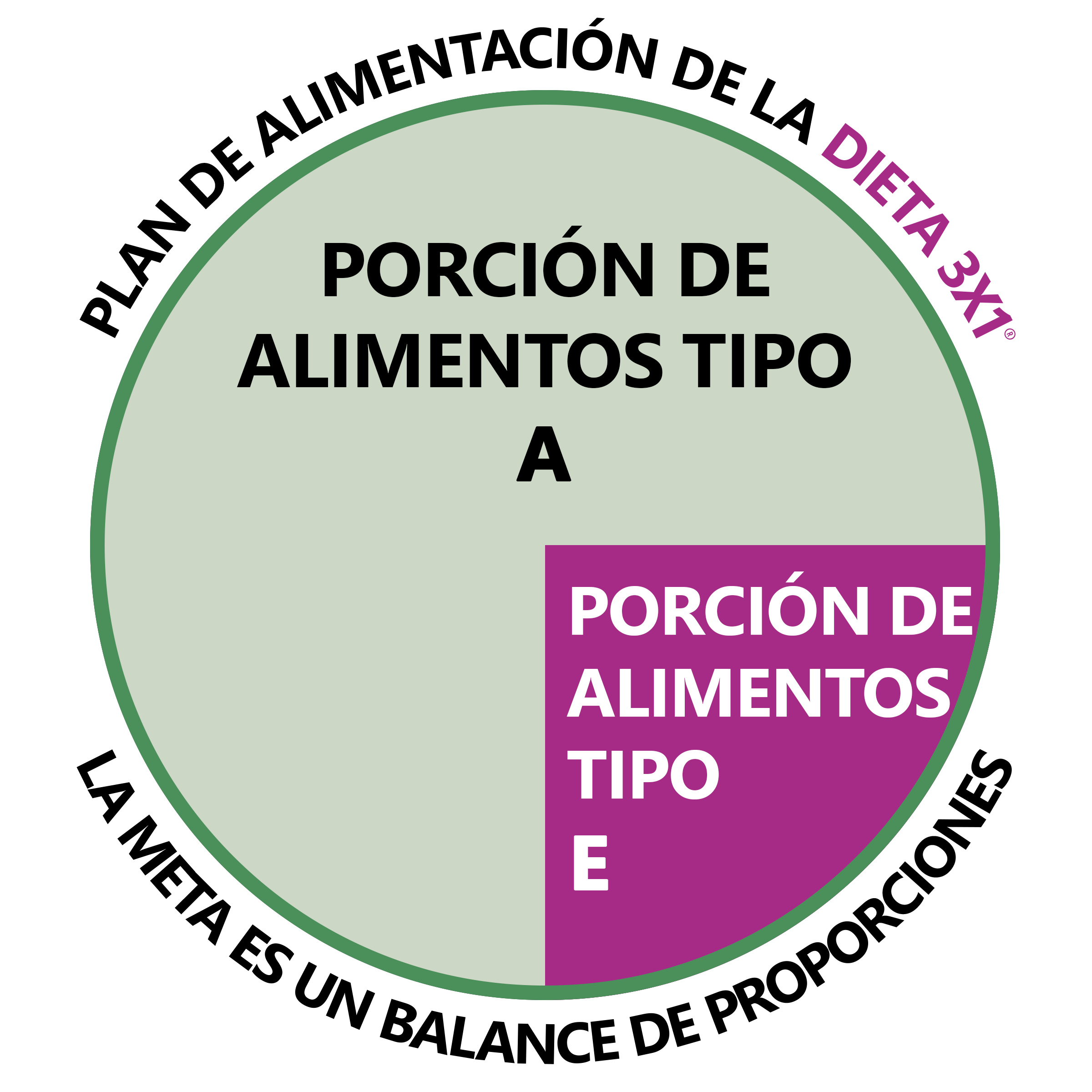Gráfico oficial del Plan de Alimentación Dieta 3x1: tres porciones de alimentos Tipo A y una porción de alimentos Tipo E